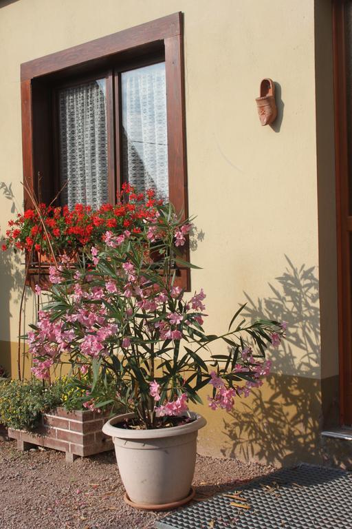 La Maison De Vacances Nothalten Стая снимка